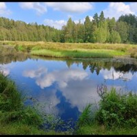 Андрей Николаев